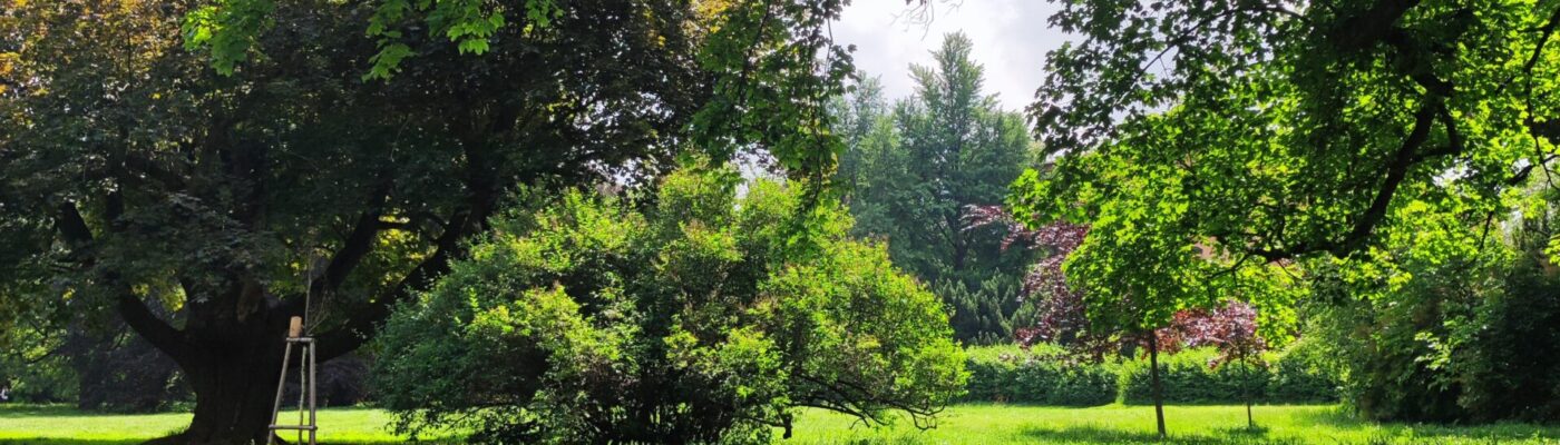 Park Lužánky
