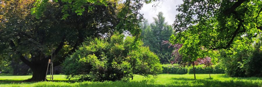 Park Lužánky
