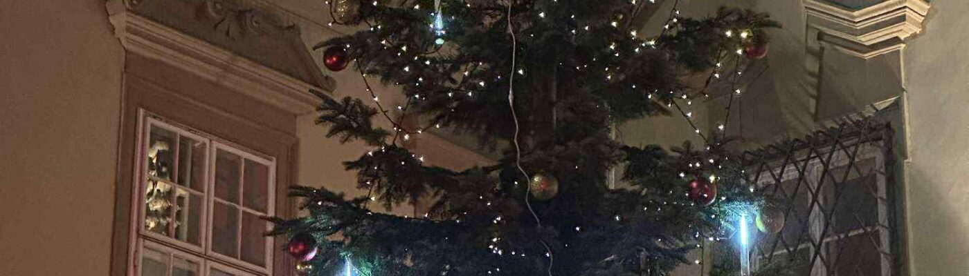 Strom na nádvoří radnice